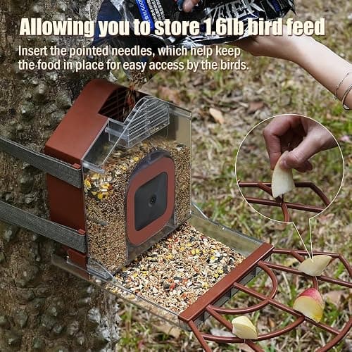 Zivif Bird Feeders for Outdoors, Compatible with Blink Outdoor Camera, Smart Bird Feeder for Watching (Camera NOT Included) thumbnail 3