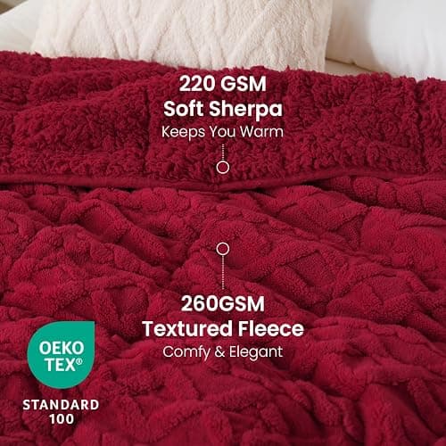 Drewin Adults Weighted Blanket Queen Size 15 lbs, 3D Stylish Fluffy Jacquard Sherpa Weighted Blankets for Sofa Bed, Cozy Thick Winter Heavy Blanket for Calming, Ceramic Beads, 60 x 80 inches, Red thumbnail 3