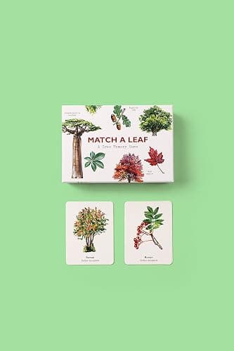 Match a Leaf: A Tree Memory Game thumbnail 2