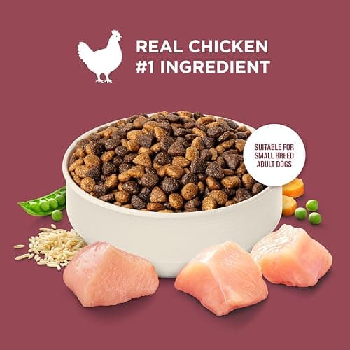 Nutrish Small Breed Dry Dog Food with Chicken, 5 lb. Bag (Rachael Ray) | Suitable for Small Adult Dogs, Veterinarian Reviewed Formula, Made with No Artificial Flavors thumbnail 4