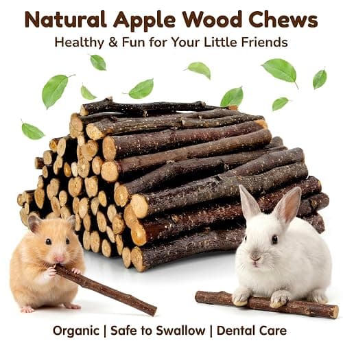 Sukh Natural Organic Apple Sticks - 250g Hamster Chew Stick Hams Rabbit Bunny Gerbil Guinea Pig Squirrel Chinchilla Small Animal Chew Sticks thumbnail 7