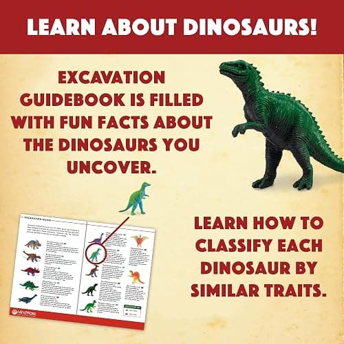 MindWare Dig It Up! Dinosaur eggs excavation kit thumbnail 6