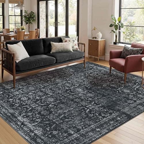 Rugxara 4x6 Rug for Living Room Bedroom, Black Washable Throw Rugs, Vintage Retro Boho Area Rugs, Non Slip & Low Pile Accent Throw Carpet for Indoor Dining Room, Kids Room and Office(Black 4x6ft) - Image 1