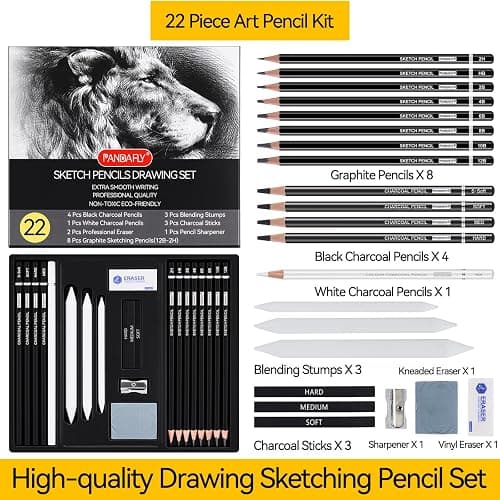 PANDAFLY Drawing Sketching Pencil Set, 22 Piece Pro Art Pencil Kit - Graphite Pencils (12B-2H), Black and White Charcoal Pencils, Charcoal Sticks, Stumps, Eraser, Sharpeners thumbnail 3