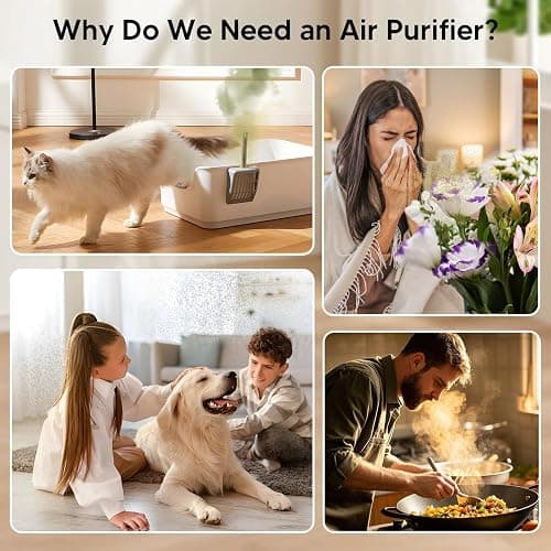 Air Purifiers for Home Bedroom Up to 1250 Ft² - H14 HEPA Air Purifier with Aroma & Sleep Mode - 24dB Small Room Air Purifier for Allergies, Smoke, Dust, Pollen, Pet Dander,4000B,White thumbnail 4