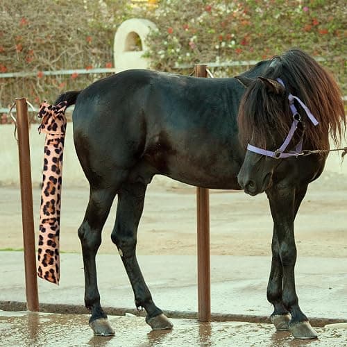 Bulyoou 4 Pcs Horse Tail Bag Stretchy 22" Breathable with 2 Strands to Keep Clean and Protected Grooming Supplies thumbnail 5