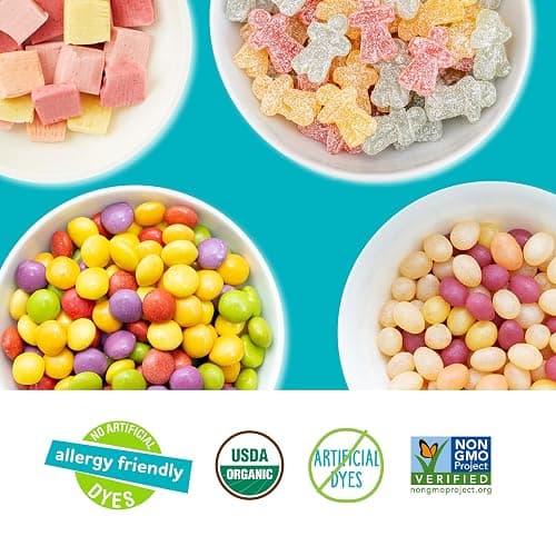 YumEarth Organic Variety Box - Jelly Beans, Giggles, Chewys, Sour Littles - Allergy Friendly (Top 9 Free), No Artificial Dyes, Non GMO, Gluten Free, Vegan -Individually Wrapped (Pack of 20) thumbnail 4