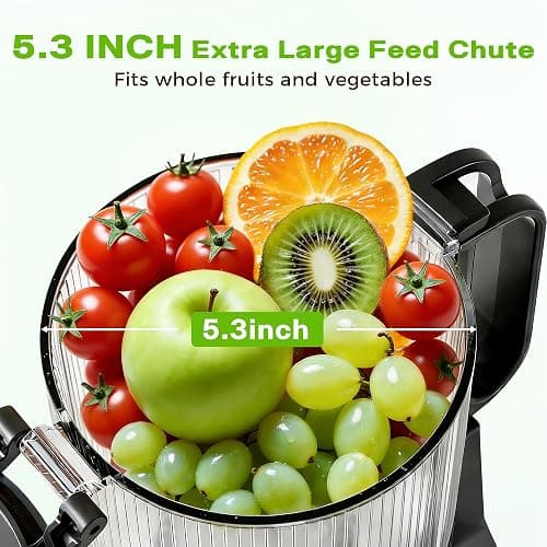 Cold Press Juicer, Juicer Machines with 5.3" Wide Feed Chute, Slow Masticating Juicer for High Yield with Whole Fruits and Vegetables (Black) thumbnail 2