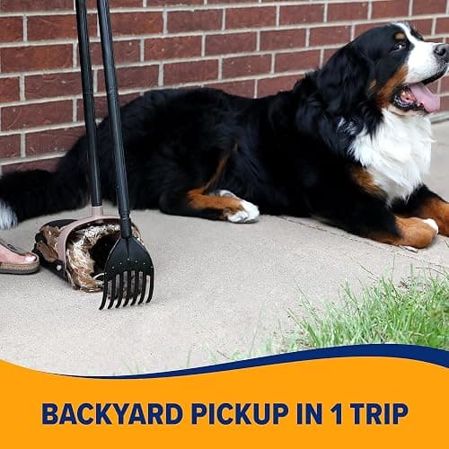 Arm & Hammer Swivel Bin & Rake Dog Pooper Scooper, Includes 2 Waste Bags | Includes 2 Heavy Duty Scented Waste Bags for Easy, No Touch Disposal thumbnail 5