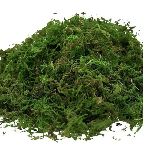 USMOLA Artificial Moss, 16OZ Fake Moss for Crafts, Decorative Centerpieces, Fairy Garden, Wedding Party Decor, Faux Potted Plants, 455gr (Fresh Green) thumbnail 4