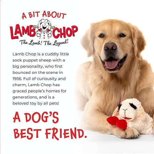 Multipet Lamb Chop Dog Plush Toy - Squeaky Toy for All Dogs - Extra Soft Plush - Stuffed Animal Dog Toy for Cuddling & Playing - Cute Pet Toy (6", Cream) thumbnail 8