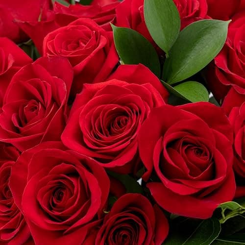 Benchmark Bouquets - Red Roses Bouquet - Fresh Flowers for Delivery - Real Roses - Two Dozen Long Stem Roses for Anniversary - Romantic Gift Set - Gifts for Women (Glass Vase Included) thumbnail 4