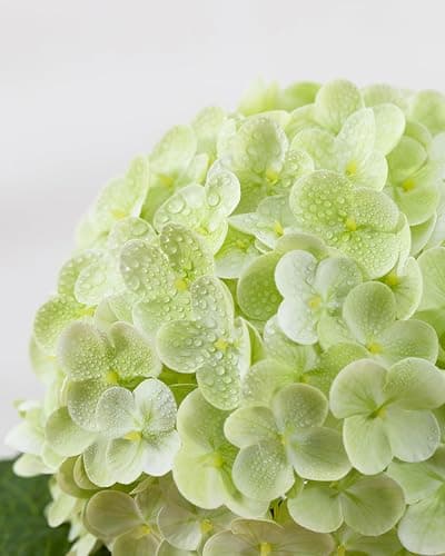 DuHouse 4Pcs Large Hydrangea Artificial Flowers,20 inch Latex Real Touch Hydrangeas Lifelike Hydrangea Flower for Home Wedding Bouquets Centerpieces Party Living Room Decoration(Light Green) thumbnail 3