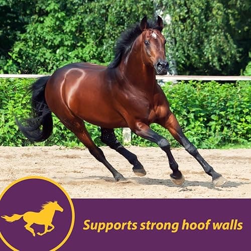 Horse Health Vita Biotin Crumbles horse hoof Supplement, Helps maintain healthy, sound hooves and strong hoof walls, 3 lbs., 48 day supply thumbnail 4