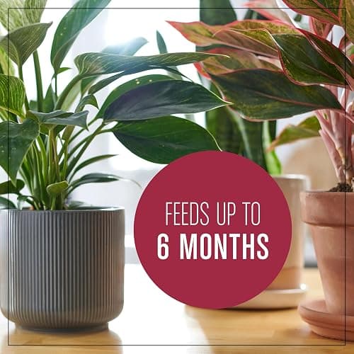 Miracle-Gro Houseplant Potting Mix: Fertilized, Perlite Soil for Indoor Gardening, Designed to Be Less Prone to Gnats, 4 qt. thumbnail 9