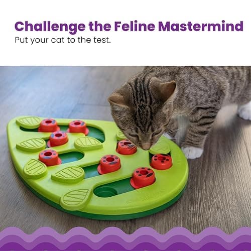 Catstages Nina Ottosson Buggin’ Out Puzzle & Play Cat Puzzle Feeder – Interactive Treat Game for Indoor Cats, Level 2 Slow Feeder Enrichment Toy, 13.9" x 11.5" thumbnail 2