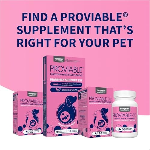 Nutramax Proviable Probiotics + Prebiotics, for Dogs & Cats, Capsules, 80ct | Probiotics and Prebiotics for Cats and Dogs, Daily Gut Health Support Supplement, Multiple Strains, Sprinkle on Food thumbnail 10