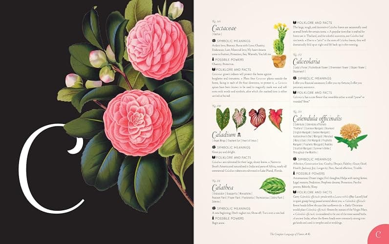 The Complete Language of Flowers: A Definitive and Illustrated History (Volume 3) (Complete Illustrated Encyclopedia, 3) thumbnail 5