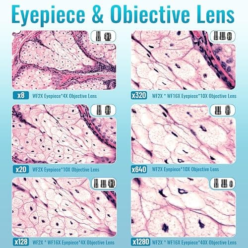 Microscope for Kids Starter Adults 64X-1280X Metal Monocular Microscope for Students School Home Education LED Lights Phone Holder Microscope Kit thumbnail 2