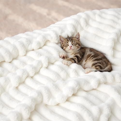 Bedsure GentleSoft White Throw Blanket for Couch - Cozy Soft Fleece Summer Throw Blankets for Bed, Cute Small Gift for Women Girls, House Bedroom Decor Aesthetic, Off White, 50x70 Inches thumbnail 8