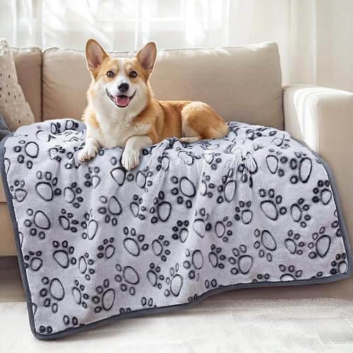 Luciphia Fluffy Paw Print Dog Blanket Large/Medium/Small, Soft Fleece Throw | 300GSM cozy blanket for crate, couch, car, bed. A puppy & cat essential and dog gift for pet parents,Grey,41"x31" - Image 1