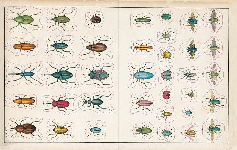 John Derian Sticker Book (John Derian Paper Goods) thumbnail 9