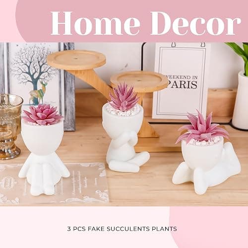 3 Pcs Fake Succulents Plants thumbnail 4
