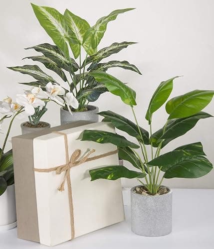 JC nateva 16" Small Fake Plants Artificial Potted Faux Plants for Office Desk Shelf Bathroom Home Decor Indoor thumbnail 9