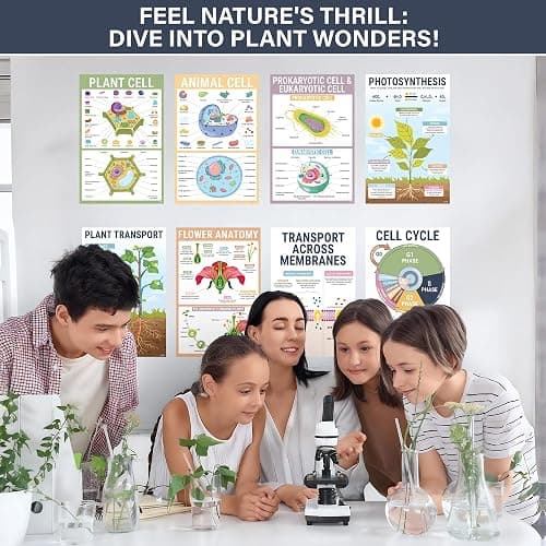 BrightenKidz Biology Posters for Classroom, 15 Pack 11x17 Science Charts | Laminated Educational Biology Charts for Middle & High School - Decor for Hallways, Bulletin Boards, Home Study Room thumbnail 6