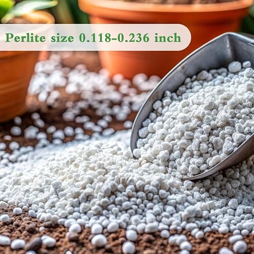 Organic Perlite for Plants, Enhances Soil Drainage and Aeration, Perfect Perlite for Plants Indoor & Outdoor, Horticultural Perlite for Gardening, Perfect for Potting Mixes, 1QT thumbnail 2