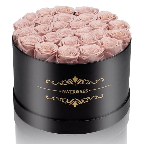NATROSES 27 Piece Forever Preserved Roses in a Box, Preserved Flowers for Delivery Birthday, Flowers Gifts for Mothers Day, Dusty Pink - Image 1