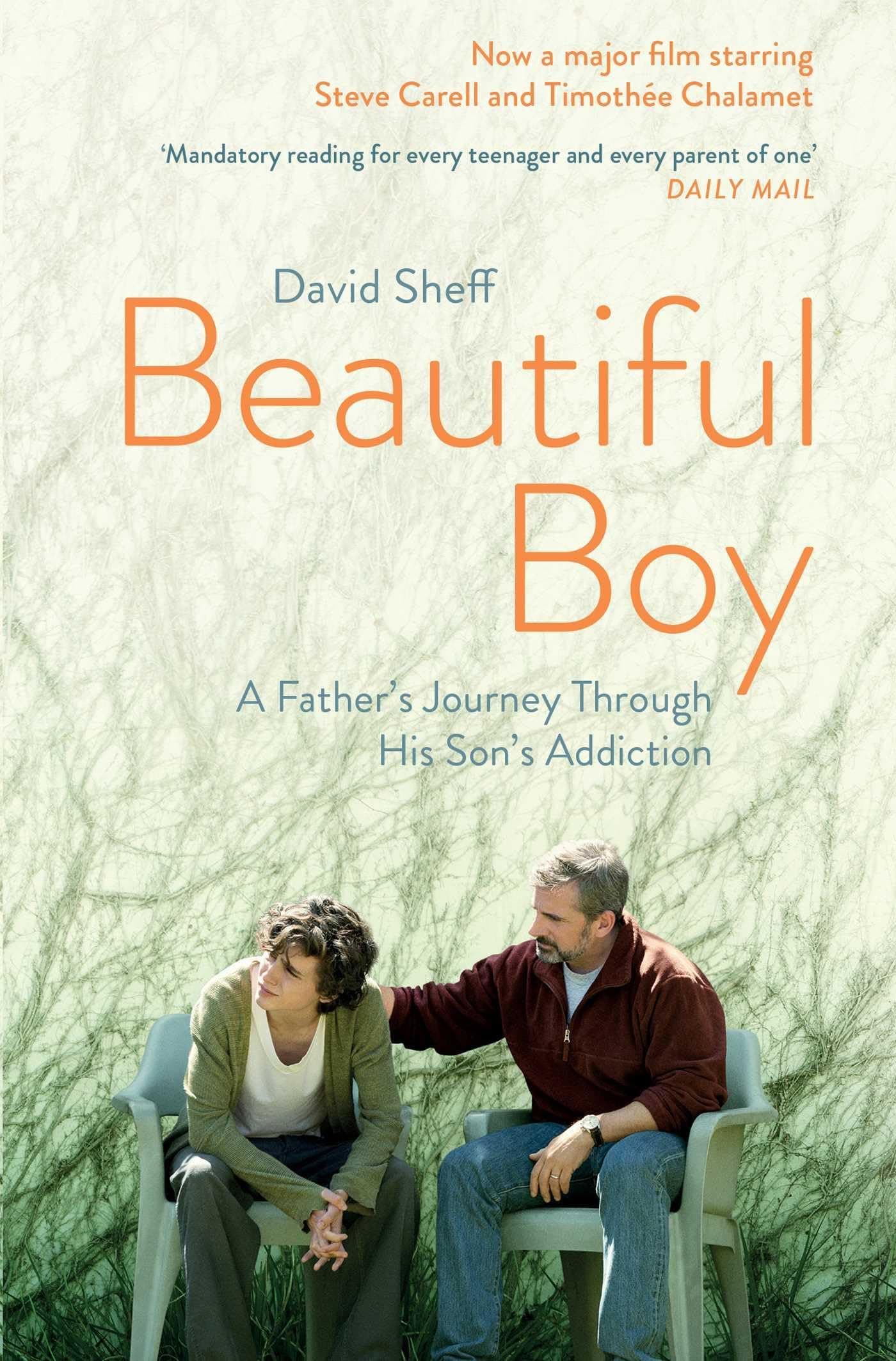 Beautiful Boy: A Father's Journey Through His Son's Addiction - Image 1