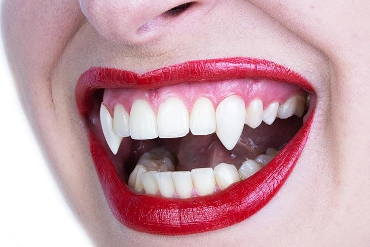 Scarecrow Small Deluxe Custom Fangs (Length 13mm) thumbnail 3