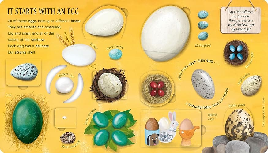 One Little Egg: Exploring Nature for Curious Kids thumbnail 2