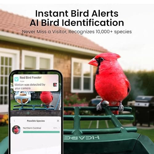 Smart Bird Feeder with Camera Solar Powered, 2K HD Video, AI Bird Species Identification, Instant Arrival Alerts, Weatherproof Design for Effortless Birdwatching, Best Gift for BirdLovers, Red thumbnail 4