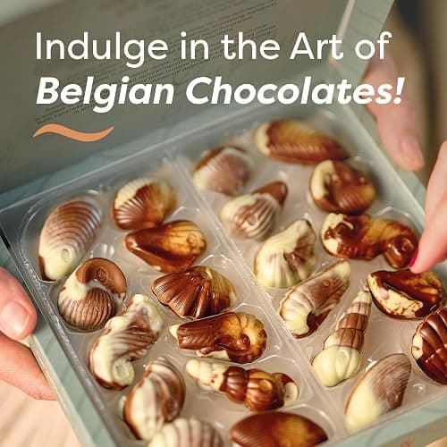 GuyLian Original Belgian Chocolate Seashells 8.82 oz Gift Box (Pack of 2): Each Contains Twenty-Two Pieces of Silky Smooth Seashell-Shaped Milk Chocolate with a Creamy Hazelnut Praliné Filling thumbnail 2
