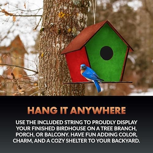 Newhouse Pet DIY Wooden Birdhouse Kit NHP-DIYH-SQ, Easy-to-Build DIY Birdhouse Kit for Kids, Arts and Crafts for Adults and Kids, Bird House for Outside with Weather-Resistant Acrylic Paints thumbnail 6