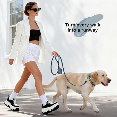 Didog Soft PU Leather Dog Collar, Stylish Quick Released Dog Collar for Large Dogs, Easy Clean Adjustable Pet Collar for Daily Walking, Blue, L Fit 15-23" Neck thumbnail 4