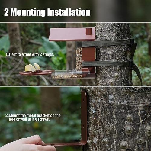 Zivif Bird Feeders for Outdoors, Compatible with Blink Outdoor Camera, Smart Bird Feeder for Watching (Camera NOT Included) thumbnail 4