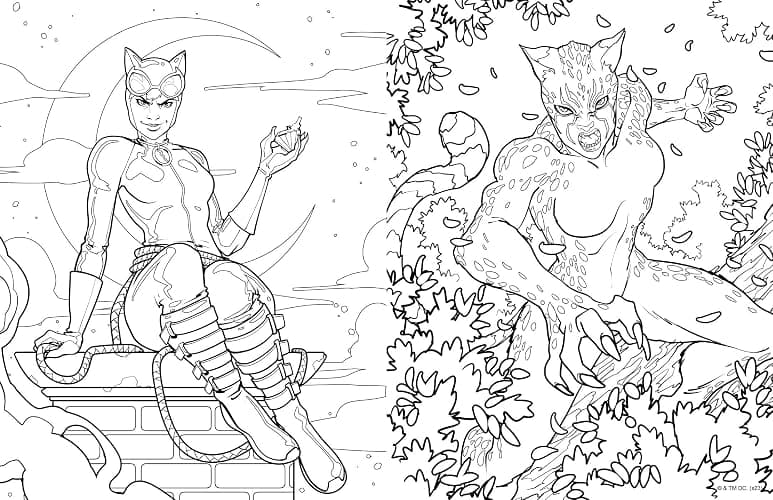 DC Super-Villains: The Official Coloring Book thumbnail 5