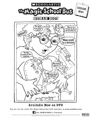 The Magic School Bus: The Complete Series thumbnail 2