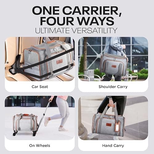 Rolling pet carrier thumbnail 4