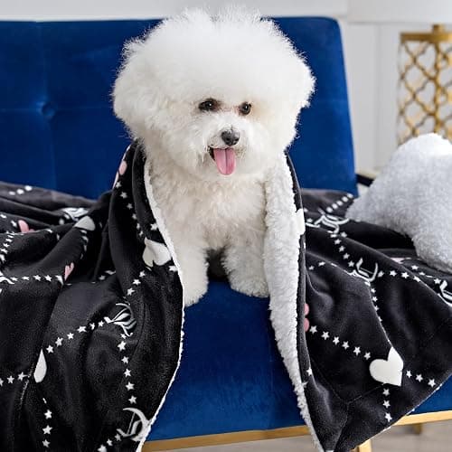Juicy Couture Plush Paw Heart Pet Sherpa Blanket & Bone Pillow Set - Black - 50x60 - Dog & Cat Combo Set thumbnail 2
