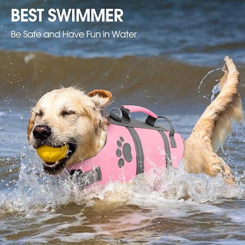 Queenmore Small Dog Life Jacket, Ripstop Dog Life Vest, Small Dog Life Vests for Swimming, Safety Dog Swimming Vest with Handle, Dog Life Vest for Boating with Hook Pet Life Jacket for Swim Water Pool thumbnail 7