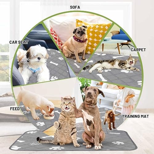 PatiencET Washable Pee Pads for Dogs, 18" x 24" 4 Pack, Reusable Puppy Training Pads with Super Absorbent Core & Non-Slip Waterproof Bottom, Value Set for Small Dogs thumbnail 4