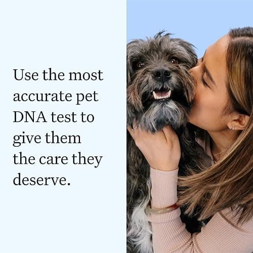 Wisdom Health Essential Dog DNA Kit | Most Accurate Test | 365+ Breeds | 30 Genetic Health Conditions | 50+ Traits, Relatives, Ancestry | Pack of 1 thumbnail 7
