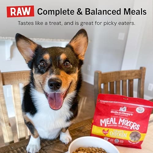 Stella & Chewy's Freeze-Dried Raw Chicken Meal Mixers- Dog Food Topper and Mixer - Made with 95% Cage-Free Chicken, Organs & Bone - Perfect for Picky Eaters - Grain-Free - 3.5oz thumbnail 11