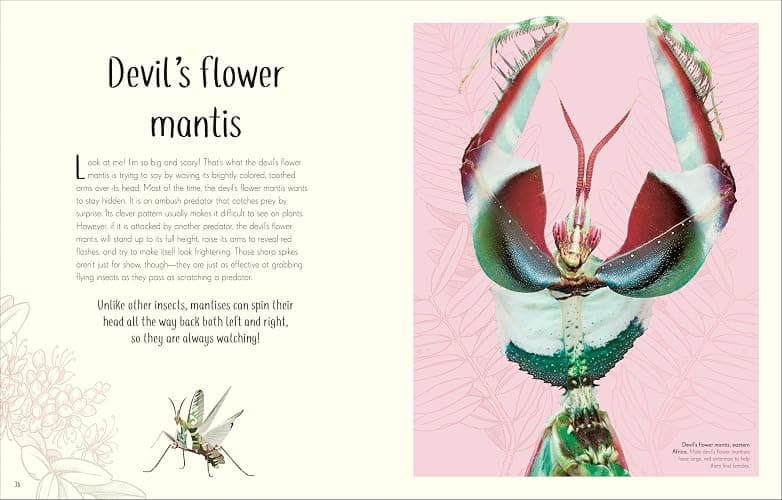 An Anthology of Remarkable Bugs (DK Children's Anthologies) thumbnail 3