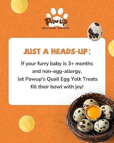 PAWUP Freeze Dried Cat & Dog Treats, Natural Quail Egg Yolk, Single Ingredient, High-Protein Pet Snacks for Skin & Coat Health, No Artificial Additives, 9.2 oz thumbnail 9