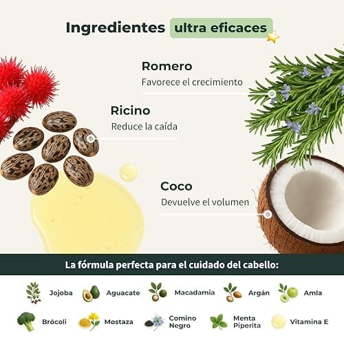 BIONOBLE Aceite de Romero para el Cabello Orgánico - Estimula Crecimiento Pelo, Nutre el Cuero Cabelludo - Aceite Esencial de Romero, Ricino - Rosemary Oil Hair Growth - Botella Vidrio, Pipeta - 50ml thumbnail 4